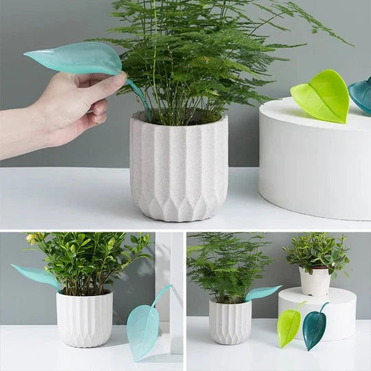 WaterLeafs: Dé Tool die Elke Plantenliefhebber Moet Hebben! 3+3 gratis