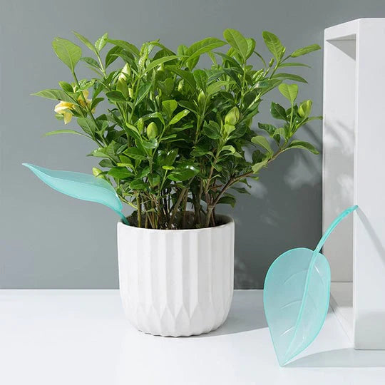 WaterLeafs: Dé Tool die Elke Plantenliefhebber Moet Hebben! 3+3 gratis