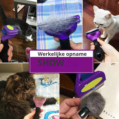 Kattenhaar Verwijdering Kammen