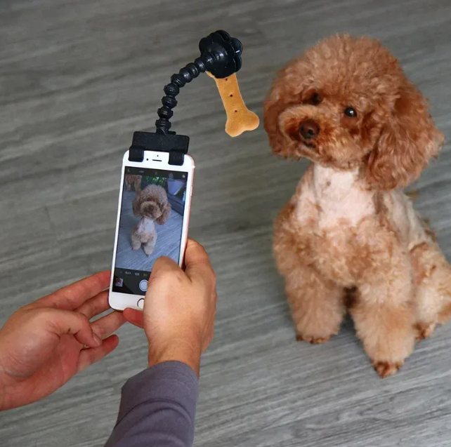 Pet Selfie Stick!