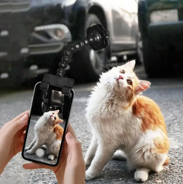 Pet Selfie Stick!