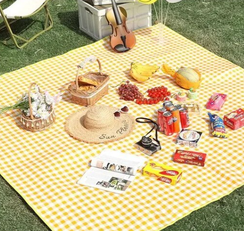 Picnic Perfection: Jouw ideale kleed voor elk buitenavontuur!