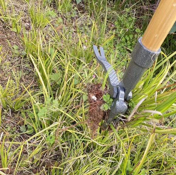 GreenGrip Pro: De Ultieme Onkruidverwijderaar